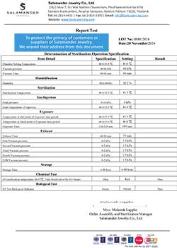 STERILIZE LOT 0888 (2024-11-20)